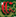 CasinoClub Poker